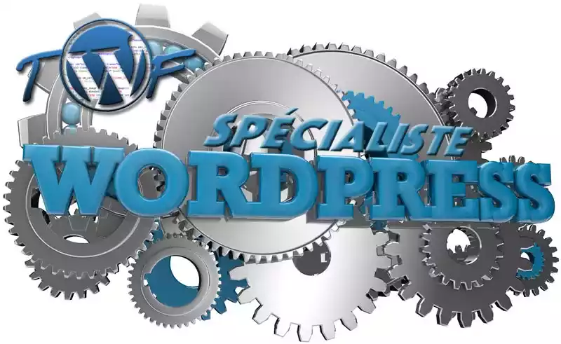 wordpress expert